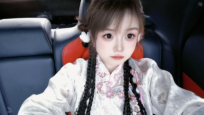 安装步骤示意图